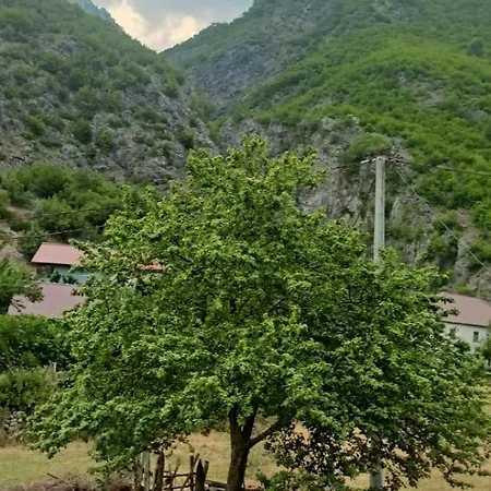 Dragobia House & Table Hotel Dragobi
